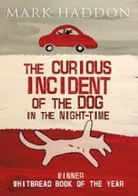 The Curious Incident of the Dog in the Night-Time