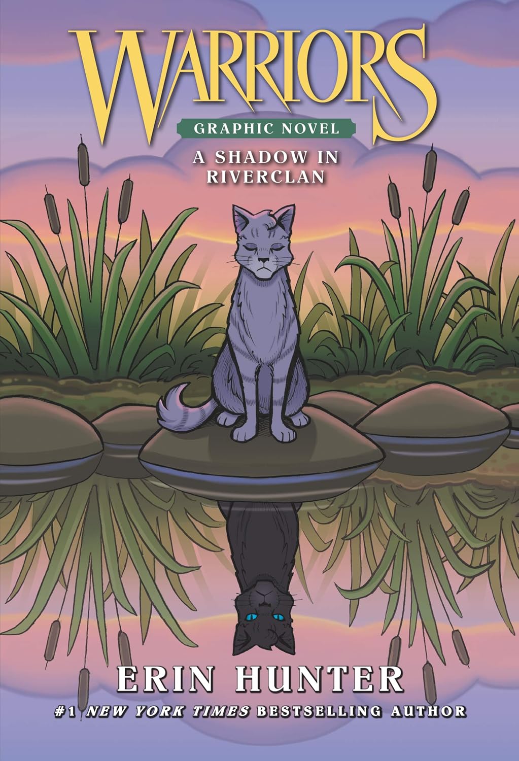 Warriors: A Shadow in RiverClan (Full-Color Adventure)