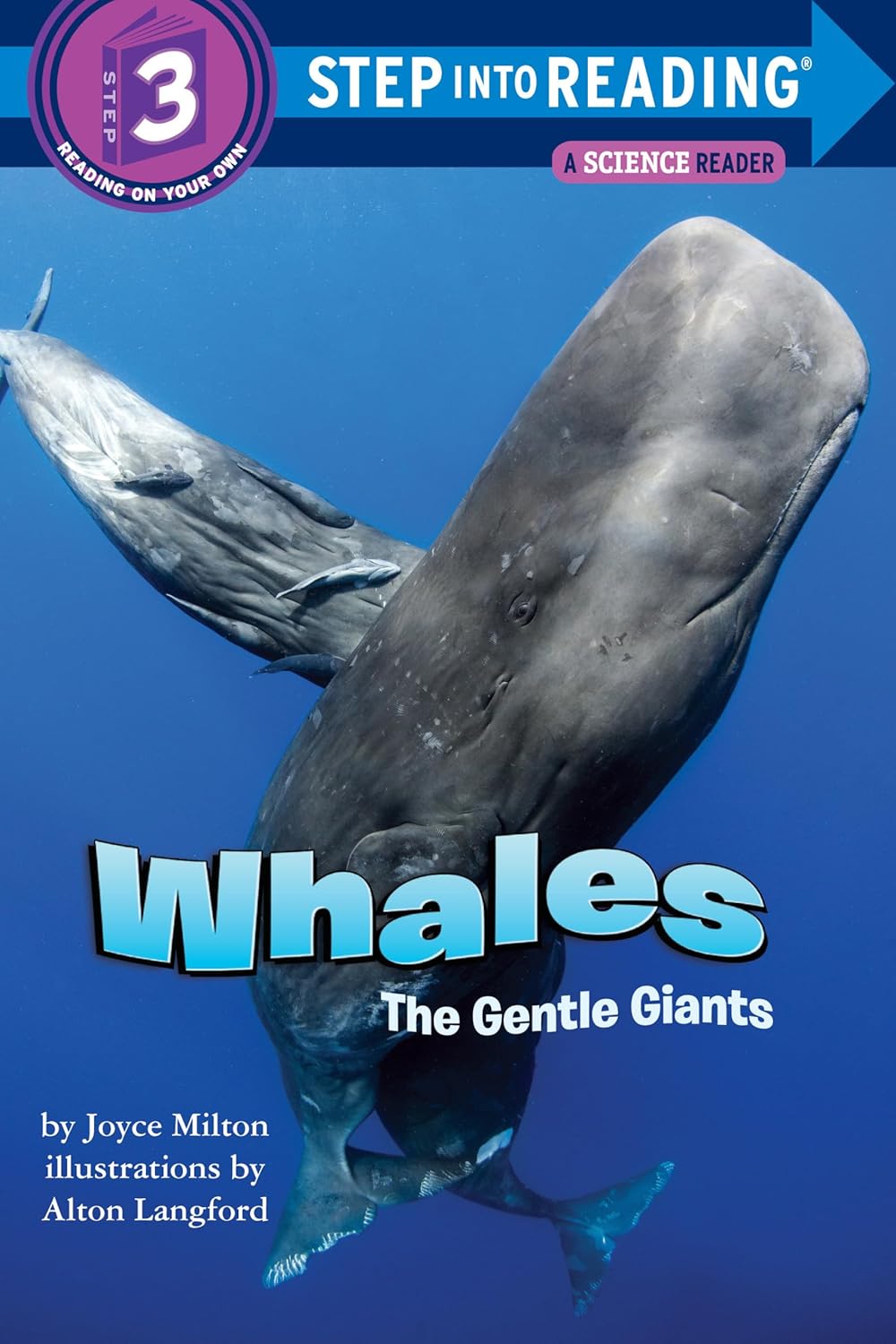 Whales: The Gentle Giants (Step into Reading, Step 3)