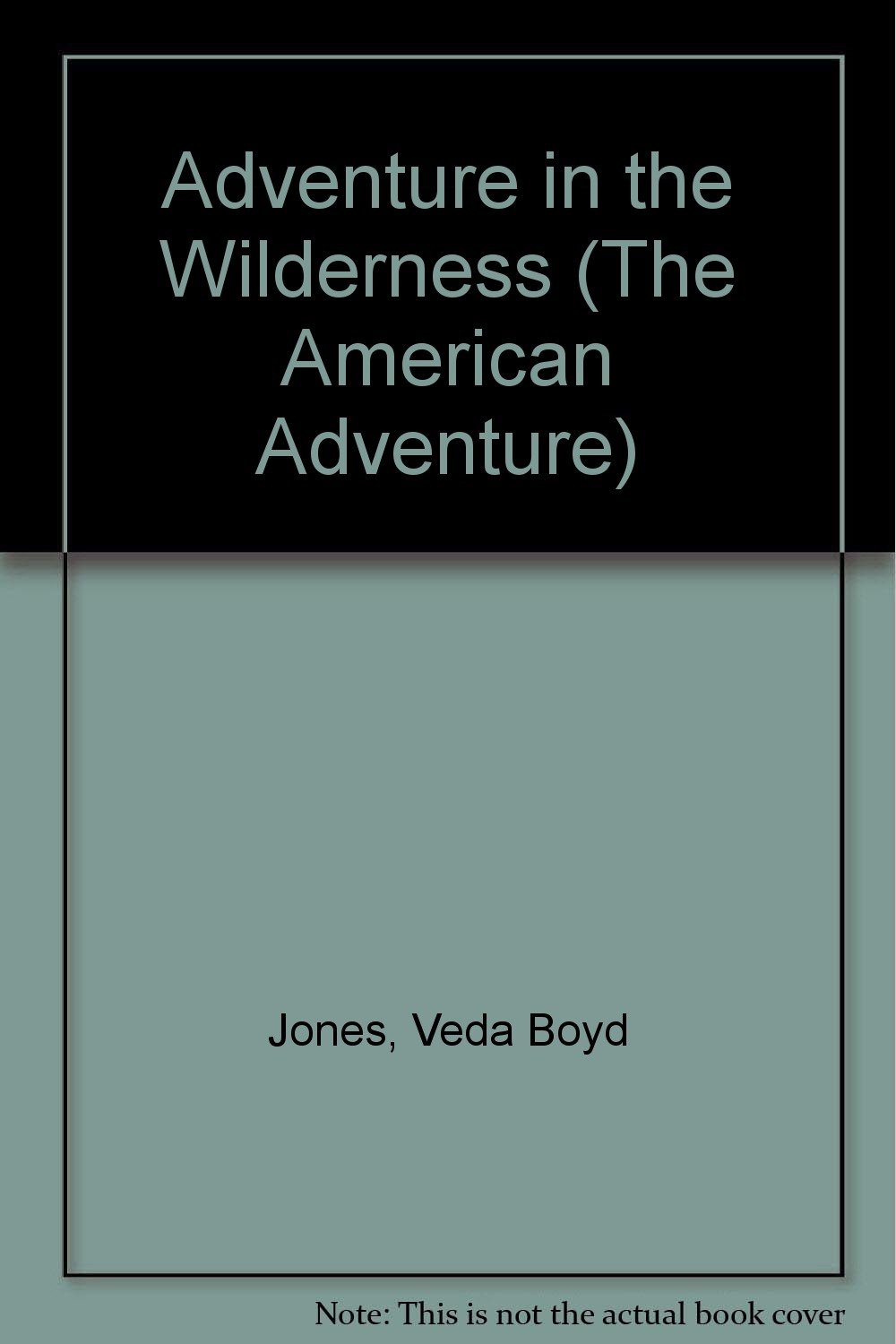 Adventure in the Wilderness: The Journey to Cincinnati's Frontier (The American Adventure Series #13)