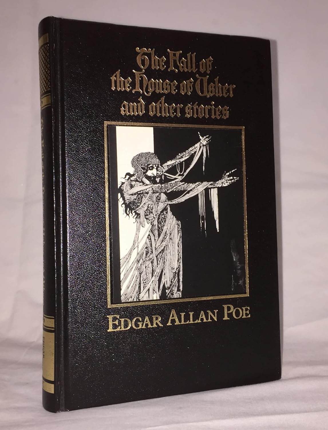 The Fall of the House of Usher (Edgar Allan Poe Graphic Novels)