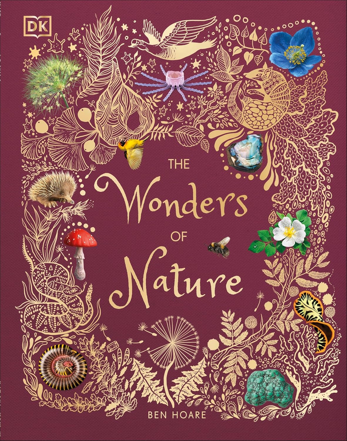 The Wonders of Nature: Discover the Incredible Stories of the Natural World (DK Children's Anthologies)
